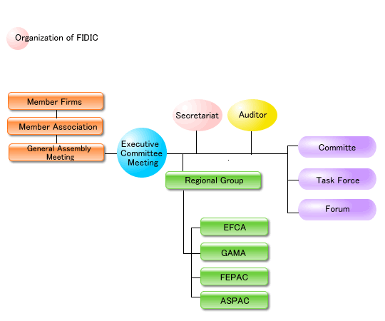 FIDIC Organization